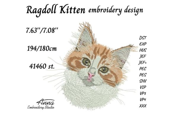 Ragdoll Kitten: A Designer’s Holiday Review